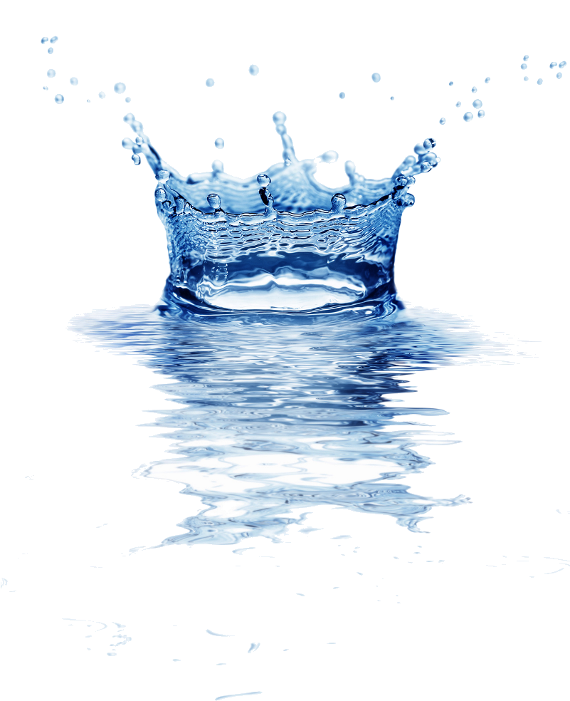 This Specification Can Then Be Used To Select Sanitary - Drop (800x990), Png Download