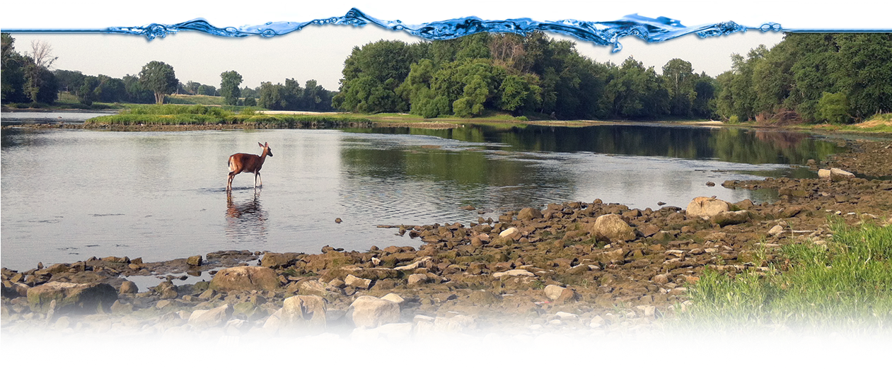 Toledo Waterways Initiative - Loch (1260x572), Png Download