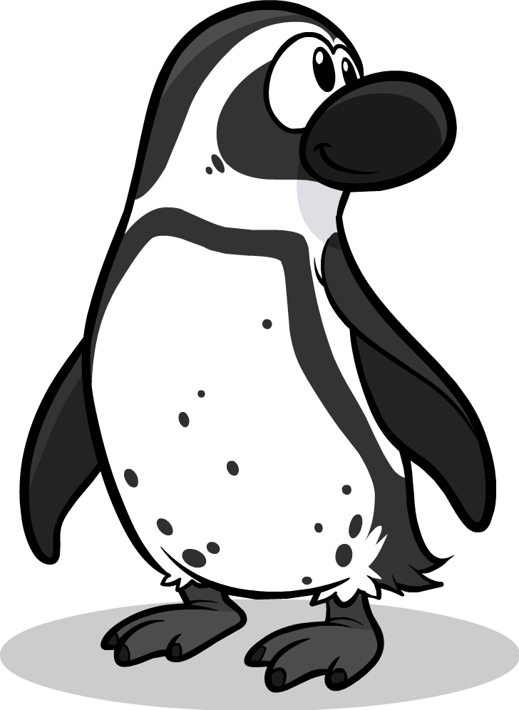 Black Footed Penguin - African Penguin (728x996), Png Download