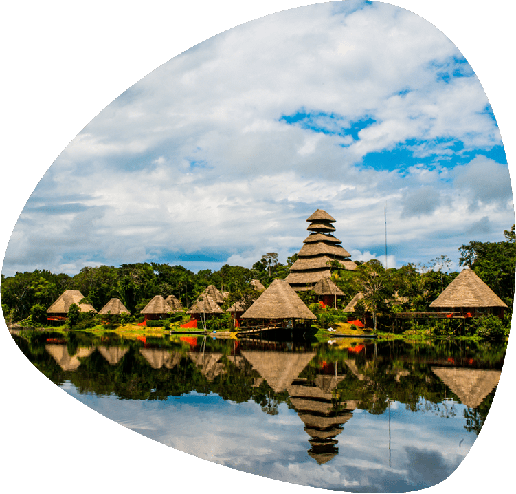 5 Days 4 Nights - Napo Wildlife Center Ecolodge (751x718), Png Download