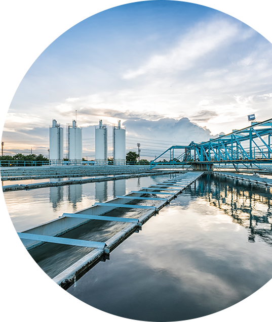 Areas Of Expertise - Iso 14001:2015 Implementation Handbook: Using Agement (537x637), Png Download