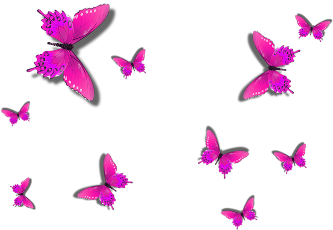 Borboleta Png Rosa - Imagens Borboletas Em Png (686x477), Png Download