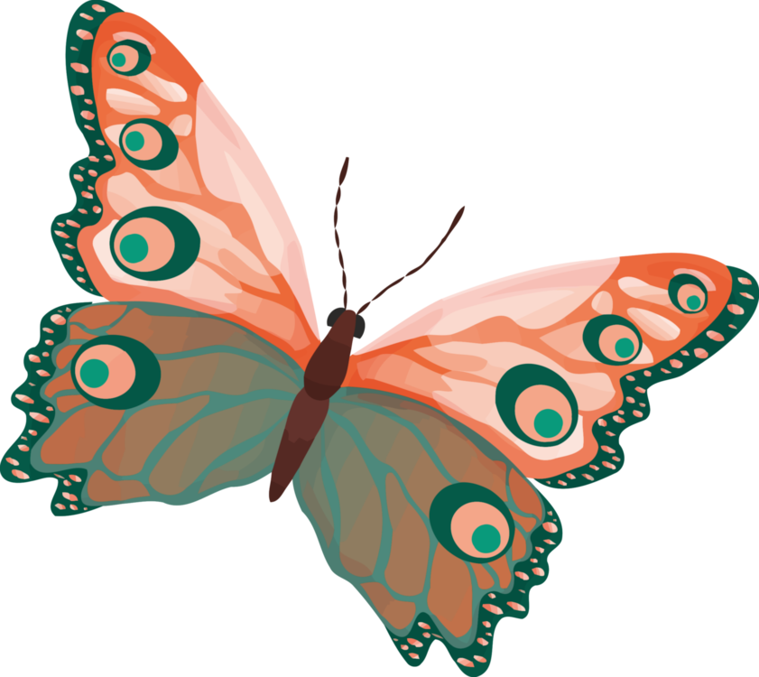 Monarch Butterfly Insect Borboleta Download - Dibujos Mariposa A Colores (841x750), Png Download