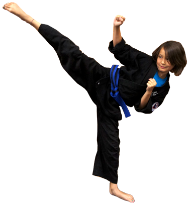 Martial Art Video Training (424x409), Png Download