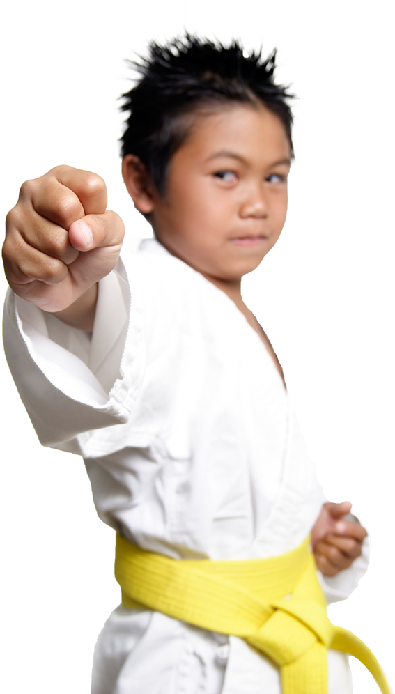 Karate Png - Karate Boy (663x995), Png Download