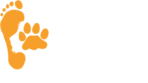 Very Sad Quotes (640x412), Png Download