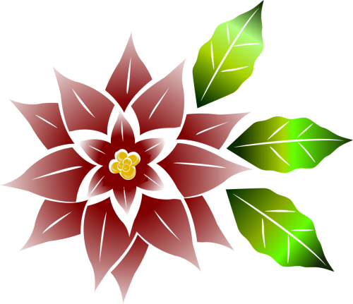 Good Flower,free Vector Graphics - Flor De Noche Buena Png (500x431), Png Download