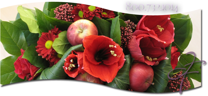 Christmas Flowers Baltimore Cockeysville Towson - Flower Bouquet (720x328), Png Download