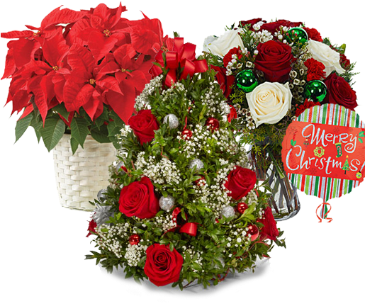 Christmas Gift Orders Accepting - Flowers Delivery - Red Roses & Fresh Greens - Christmas (514x452), Png Download