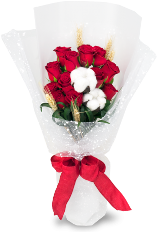 Merry Magnificence - Cf02 - Happy New Year Rose 2018 (480x480), Png Download