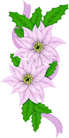 Fm Christmas Melodies Element 19 - Happy Holidays- Christmas, Holiday, Poinsettia Card (265x500), Png Download