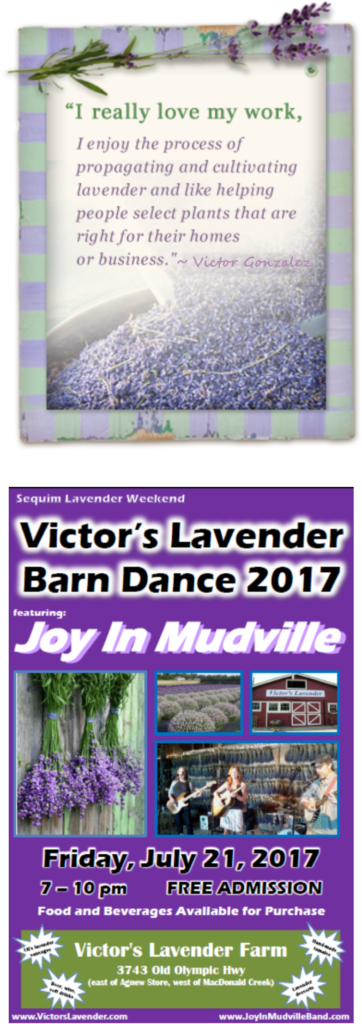 Lavender Workshops - Tableau De Jardin Lavande - 90x60 Cm (362x1024), Png Download