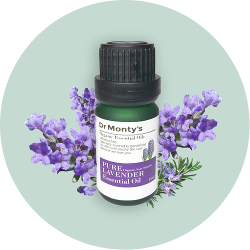 English Lavender (500x500), Png Download