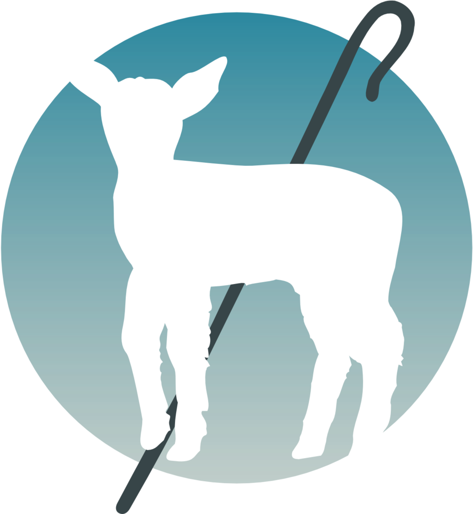 Gradient Circle - Supper (1000x1000), Png Download