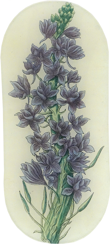 Lavender Stock Lavender Stock - Camas (500x500), Png Download