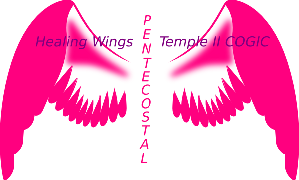 How To Set Use Healing Wings Logo Clipart - Pink Angel Wings Clip Art (600x361), Png Download