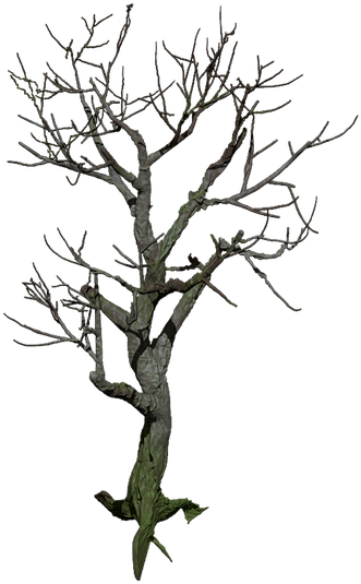 Tree, Isolated, Png, Digital Art, Mystical - Digital Art (960x597), Png Download