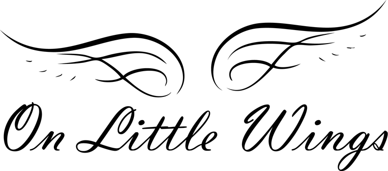 Large Png - Little Wings Png (800x353), Png Download