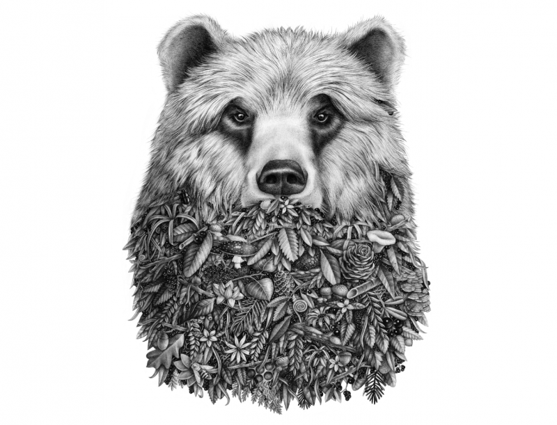 Violaine Et Jérémy Is An Illustration And Graphic Arts - Surrealism Animal And Humans (800x611), Png Download