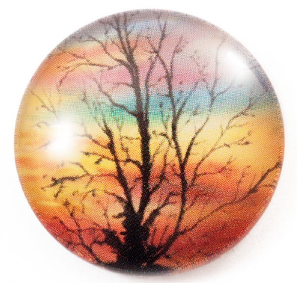 Circle (600x860), Png Download