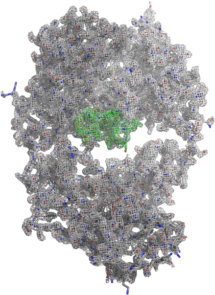 Lc Hc Meditope - Meditope Biosciences, Inc. (813x648), Png Download