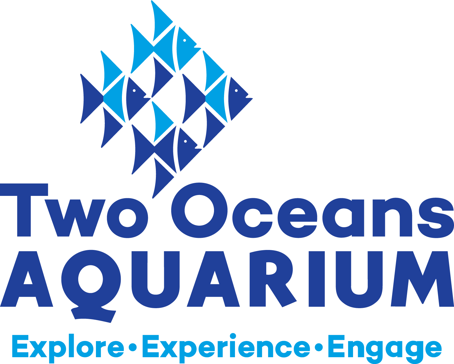 Area - History Two Oceans Aquarium Cape Town (1538x1232), Png Download