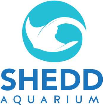 Shedd Aquarium Logo - Hotel Corona Ensenada Logo (488x424), Png Download