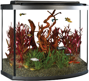 Ideal For The Beginner And Seasoned Aquarist, The 26 - Aquarium Fluval 26 Bow (400x400), Png Download