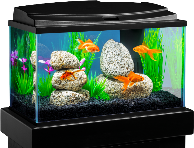 1.8 Gallon Fish Tank (1000x1000), Png Download