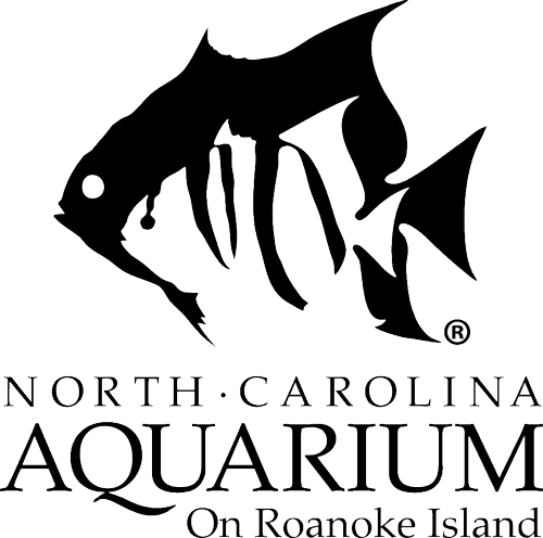 North Carolina Aquarium On Roanoke Island Po Box 967 - Roanoke Island Nc Aquariums (500x496), Png Download