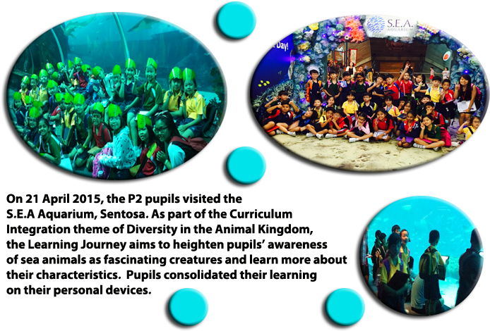 P2 Lj To Sea Aquarium - Circle (709x485), Png Download