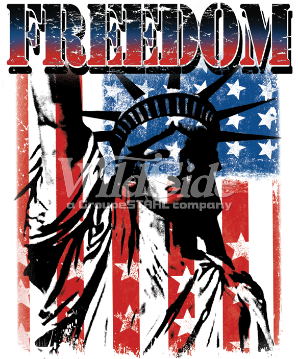 Stock Transfer - 4th Of July United States Of America Flag Statue Of (709x709), Png Download