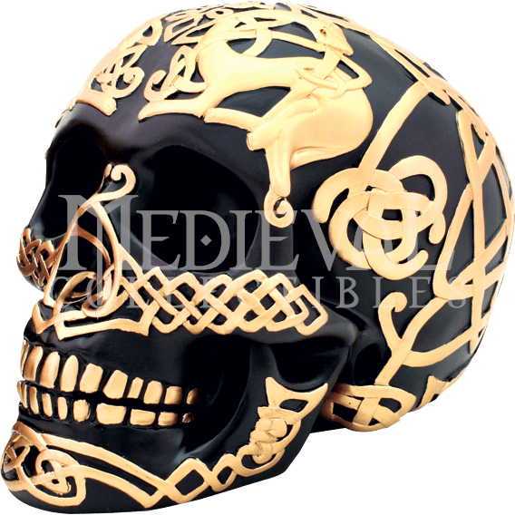Black And Gold Celtic Skull - Skull (568x568), Png Download