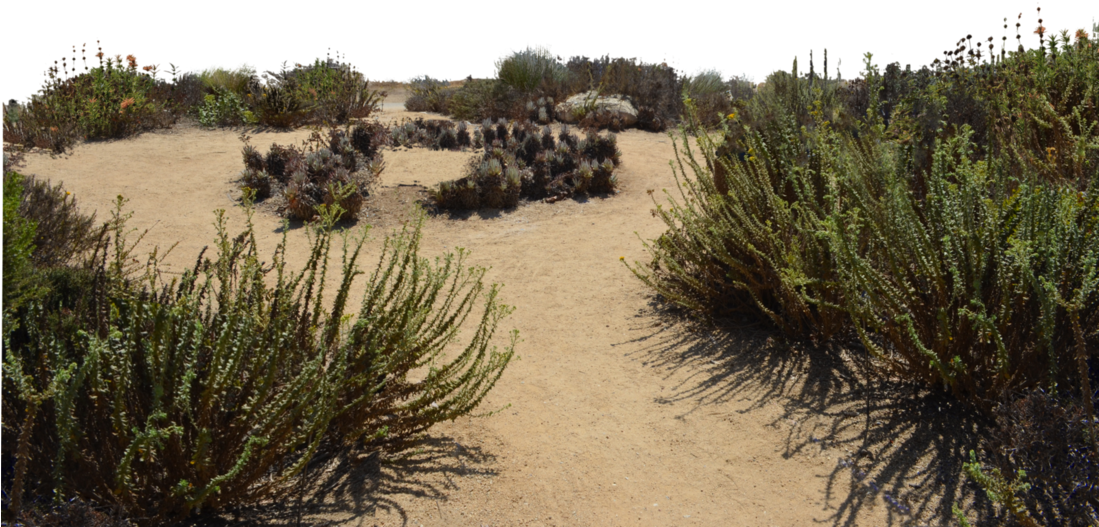 Sand Dunes Stock Photo Dsc 0116 Png By Annamae22-d9tryog - Dune (1098x727), Png Download