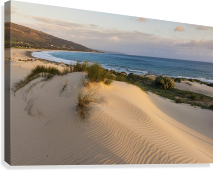 Punta Paloma Sand Dunes - Printscapes Wall Art: 36" X 24" Canvas Print With Black (429x344), Png Download