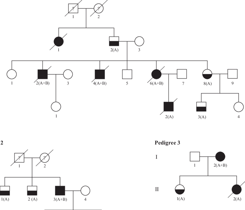 Squares Indicate Male And Circles Indicate Female - Diagram (850x727), Png Download