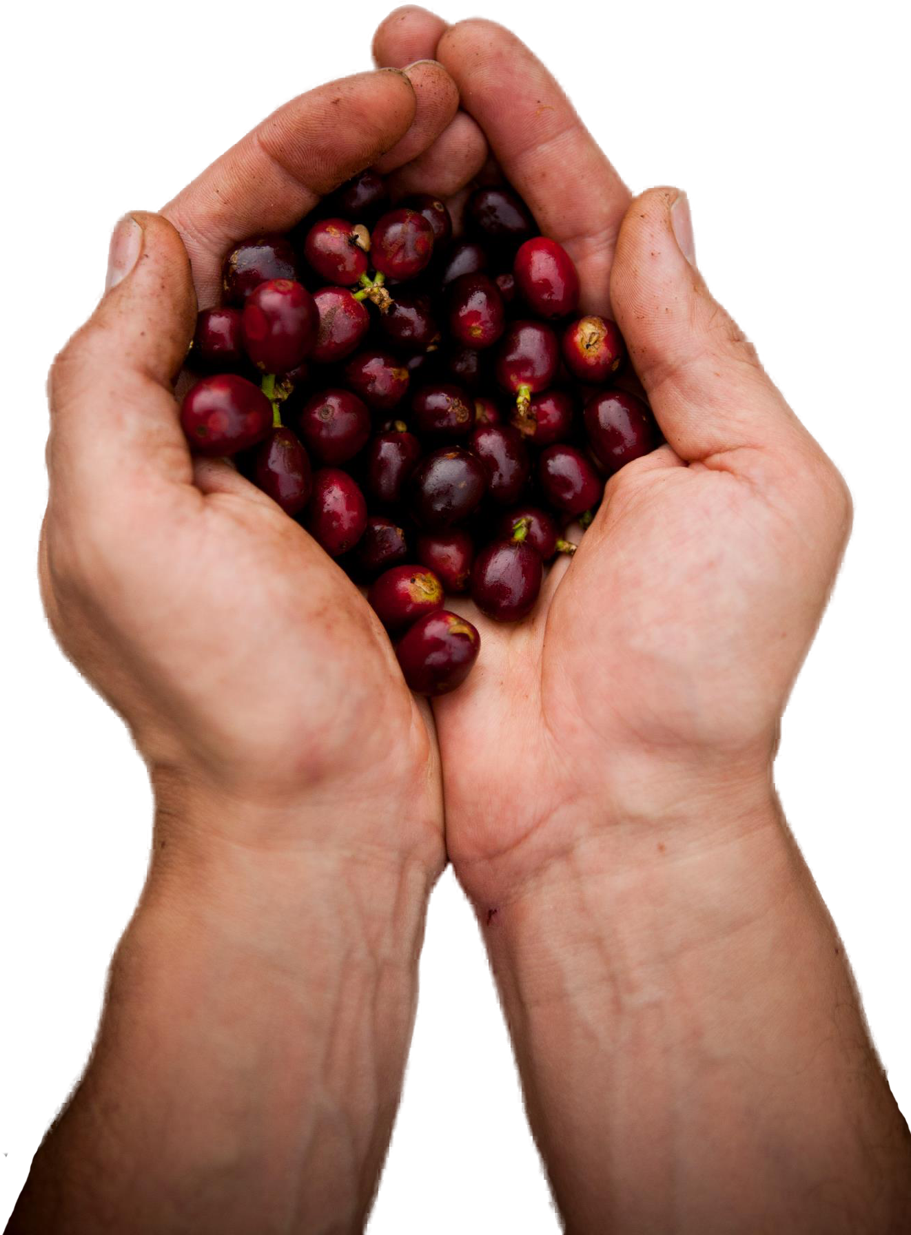 Máquinas De - Superfood (1365x2048), Png Download