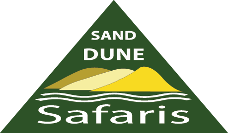 Sand Dune Safaris Stockton Beach - Sand (459x269), Png Download