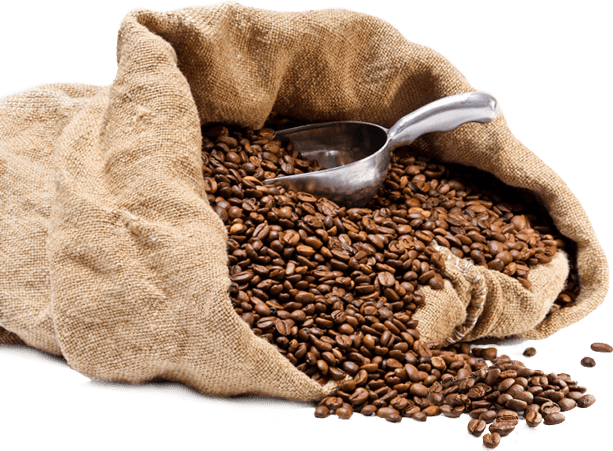 La Cosecha Cafetalera 2017-2018 Cerrará Con Una Producción - محمص الديوان (613x451), Png Download