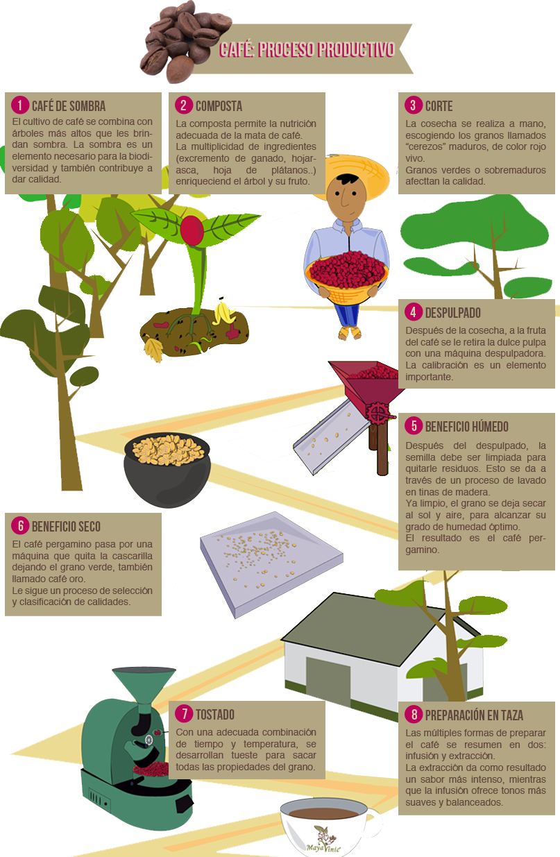 Pero Antes De Escribir La Receta De Esta Crema, Me - Coffee (807x1235), Png Download