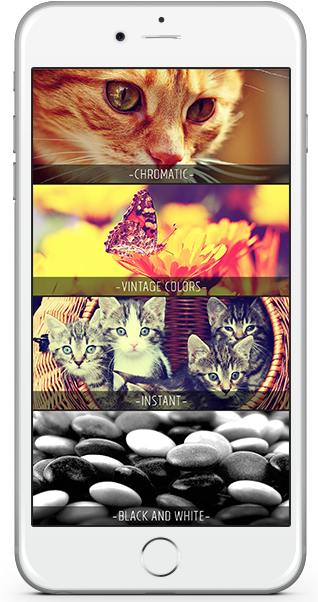 Live Filter Cam Slide - Kitten (318x602), Png Download