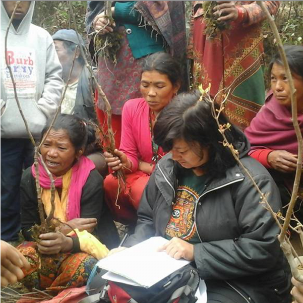 Resilience Through Recovery In Nepal - Girl (800x600), Png Download