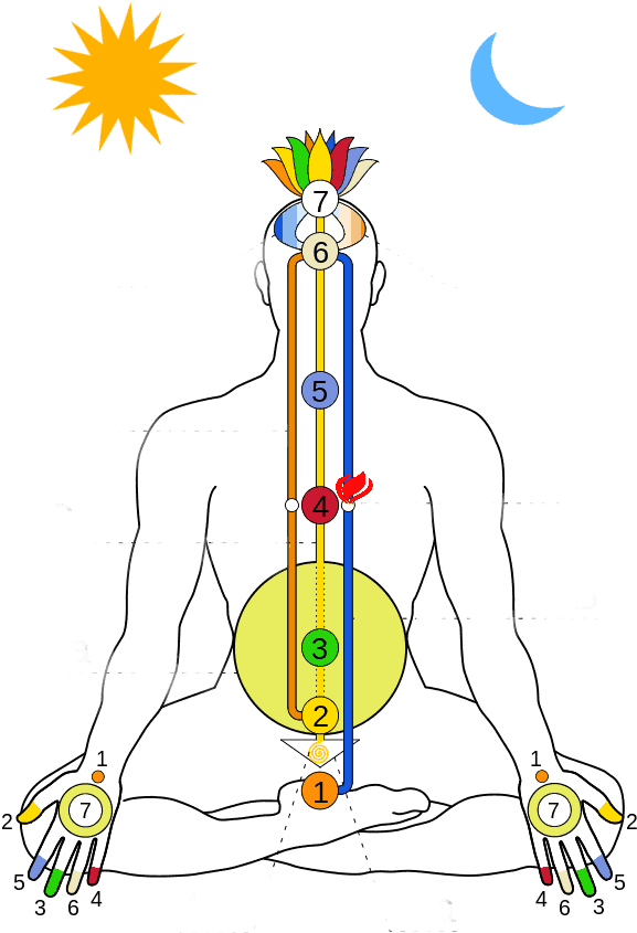 The Chakras - Kundalini Energie (724x1024), Png Download