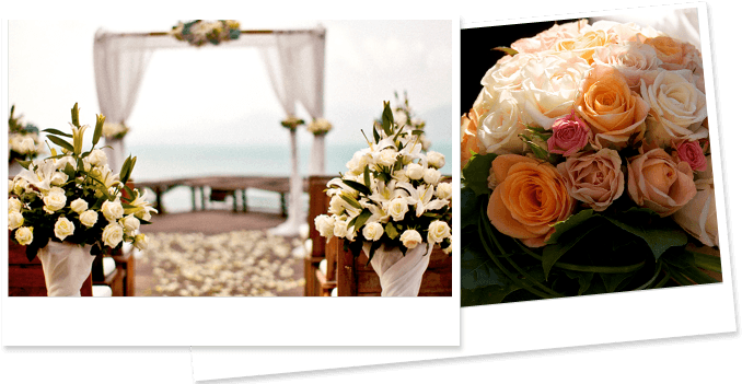 Hassle-free Flower And Decore Solutions For Your Wedding - Late Bloomers Floral & Gift, Llc (950x350), Png Download