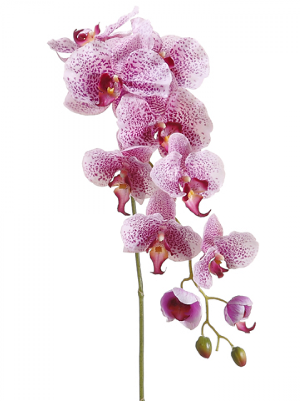 5" Phalaenopsis Orchid Spray With 9 Flowers And 3 Buds - Silk Plants Direct Phalaenopsis Orchid Spray - Lavender (800x800), Png Download