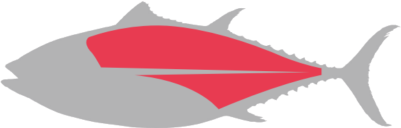 Loin - Pacific Sturgeon (640x430), Png Download