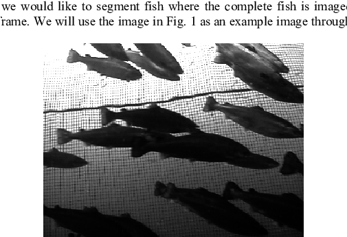 An Example Of A Medium Complex Image Of Fish Swimming - Boot (504x355), Png Download