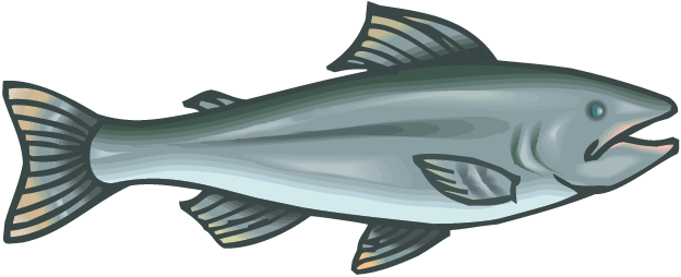 Salmon - Middle Stone Age Food (624x254), Png Download
