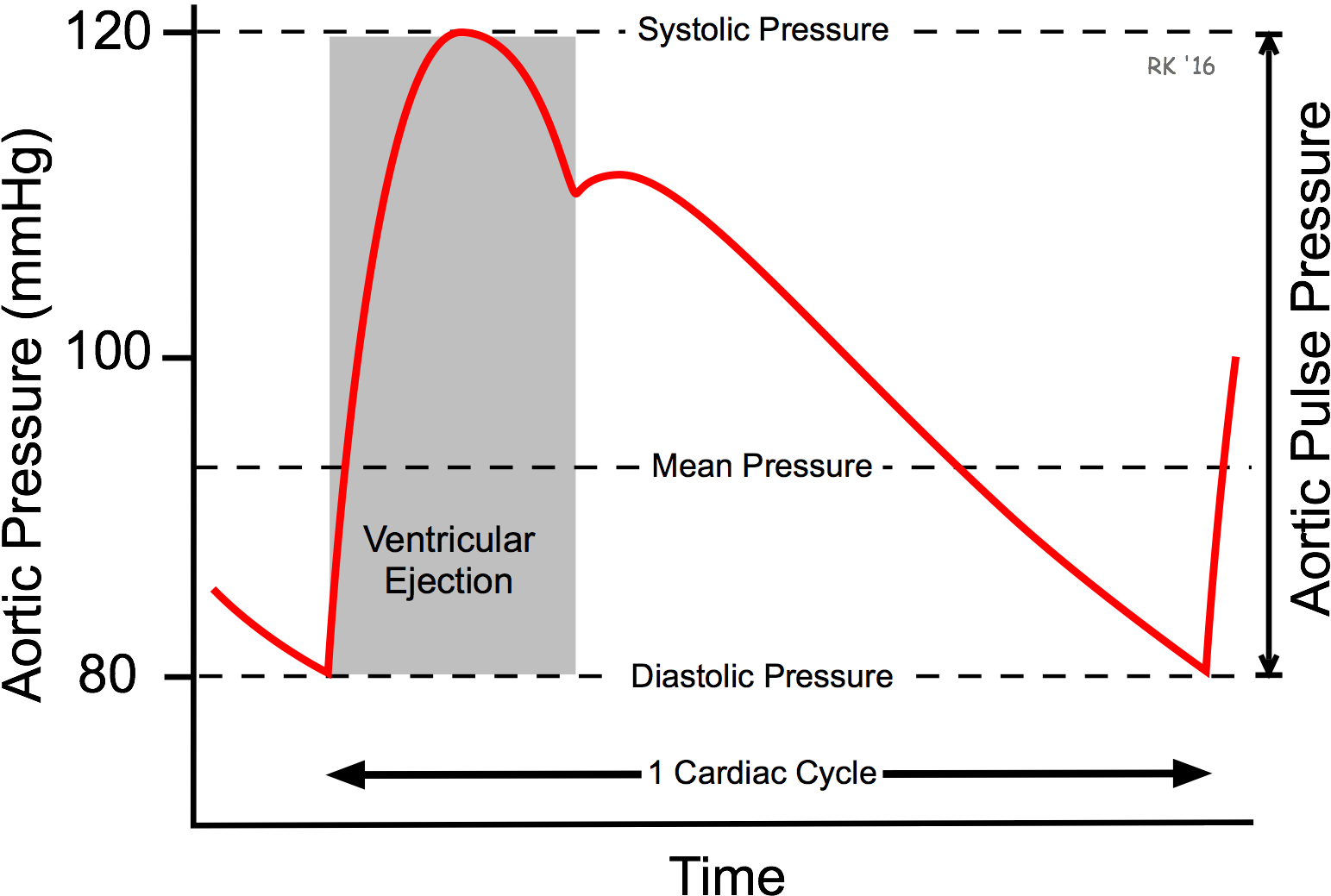 Arterial Blood Pressure - Pulse Pressure (1652x1098), Png Download
