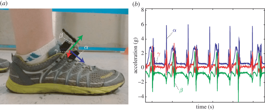 A) Photograph Of In Situ Testing Of The Accelerations - Diagram (850x354), Png Download